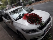 Gelin Arabası 23
