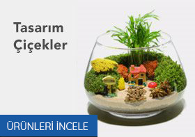 Öneçıkan Ürün